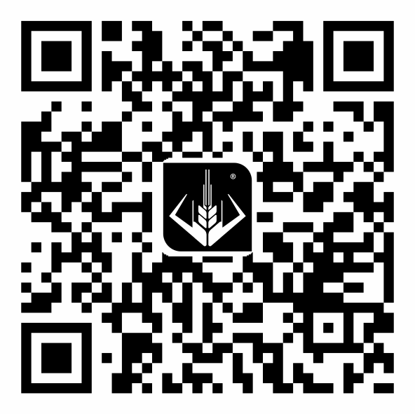 640 (2).png