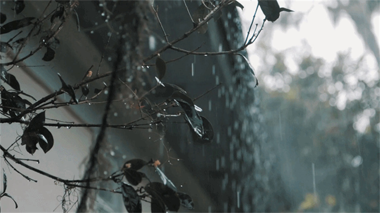 下雨.jpg