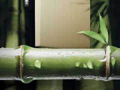 新品赏鉴丨鹏鸿冠军系列竹芯板畅享绿意生活