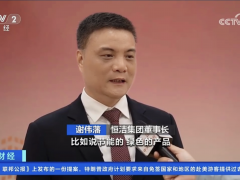 央视点赞行业之光｜恒洁集团董事长谢伟藩接受央视专访并发表致辞 