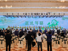 聚光2026：当设计力遇见产业力，东莞正在发生什么？ 