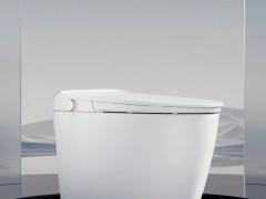 东鹏：Z114-C智能马桶丨低噪劲冲，洁净无声不扰眠 