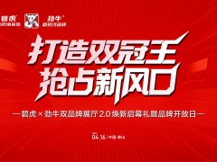 打造双冠王 抢占新风口 碧虎集团三箭齐发，全面开启功能瓷砖双赛道新时代 
