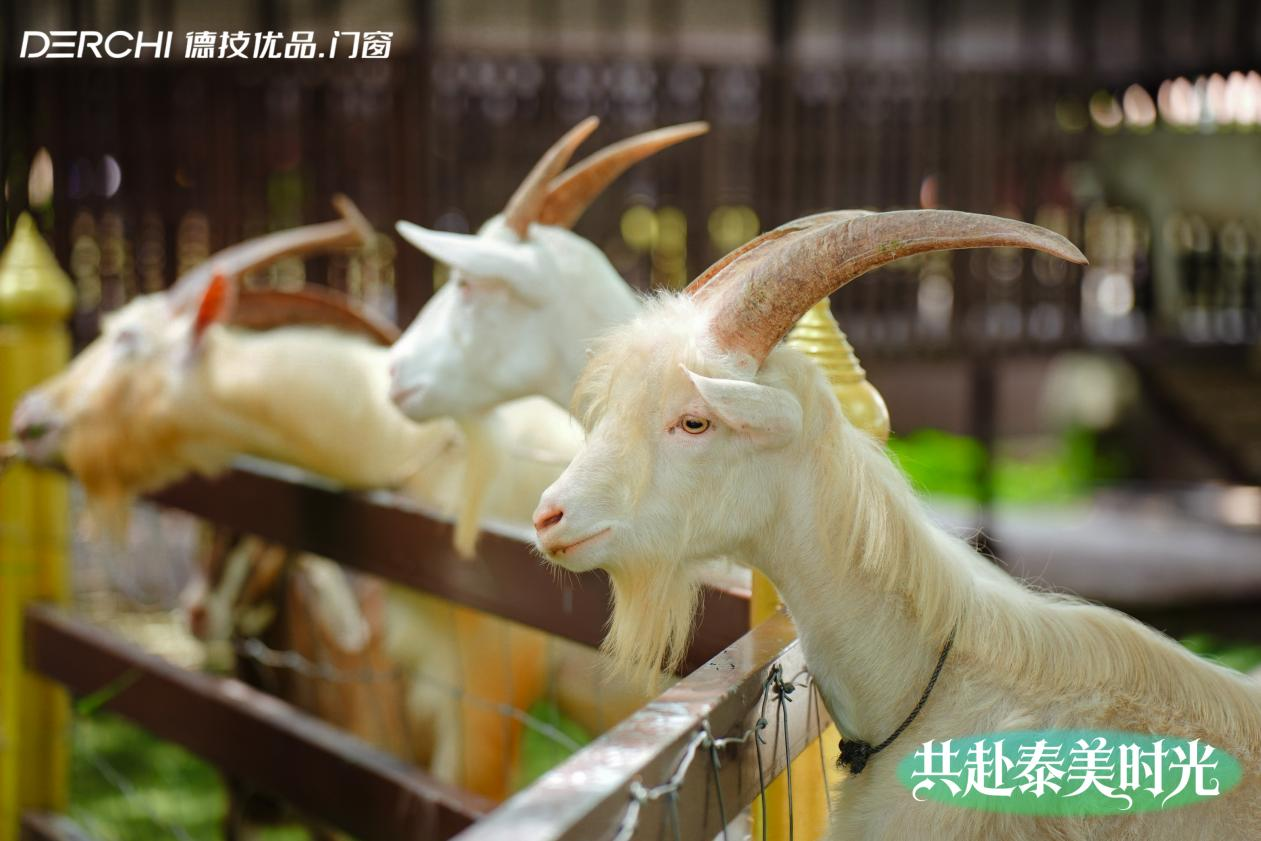 图片 20.png
