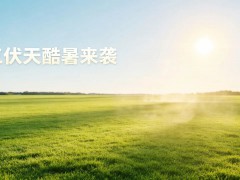 简纳斯门窗：三伏酷暑来袭｜高性能门窗，守住全屋清凉与省电 